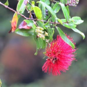 Meet your Posher, Lily